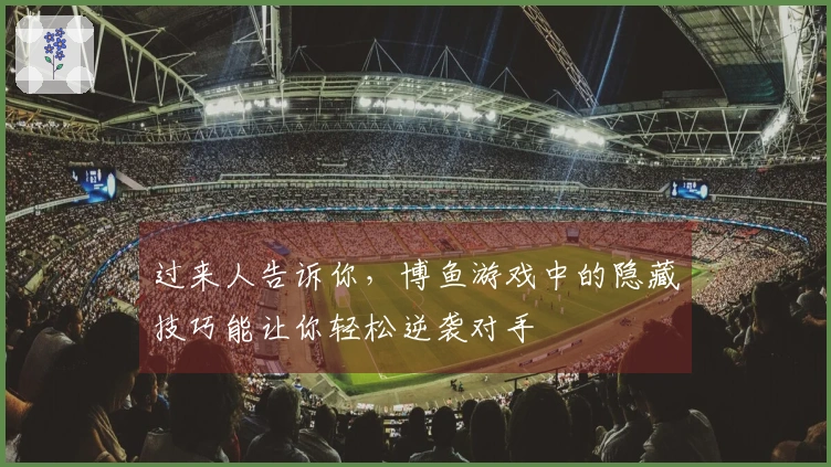 过来人告诉你，博鱼游戏中的隐藏技巧能让你轻松逆袭对手